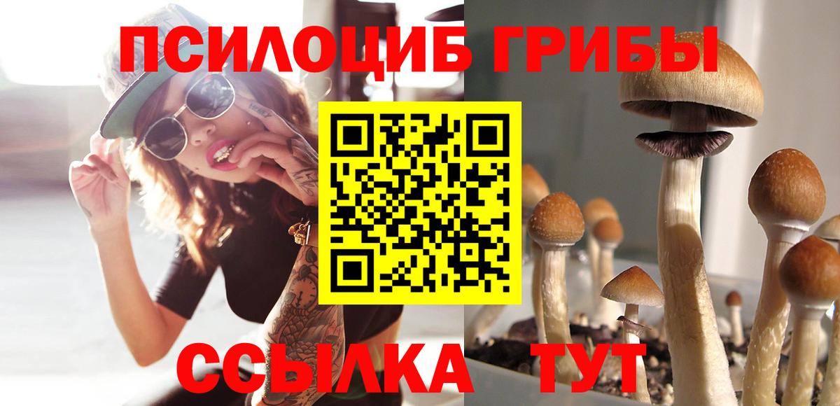 Галлюциногенные грибы Magic Shrooms  Вход с VPN  Шарыпово 